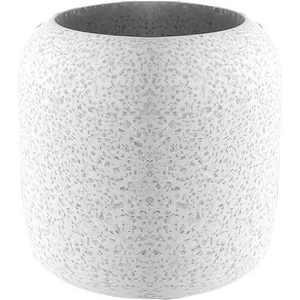 Pumi Diş Fırçalık Ev D-21042