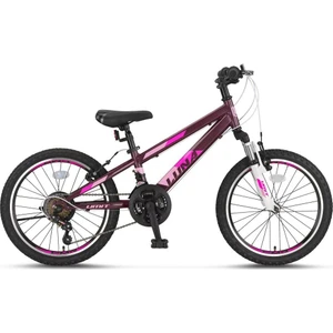 Ümit Bisiklet Ümit Luna 24'' 21V Vb Dağ Bisikleti Mürdüm
