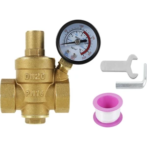 3/4 Inç DN20 Pirinç Su Basınç Regülatörü Vana Su Basıncı (Yurt Dışından)