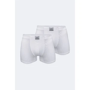 Erkek Beyaz 2 Li Pamuk Elastan Boxer 074 2M074