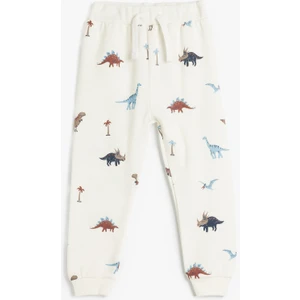 Dinozor Baskılı Şardonlu Pamuklu Eşofman Altı