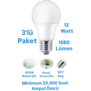 ERKLED 12W Beyaz Işık LED Ampul 1080 Lümen E27 Duylu LED Lamba
