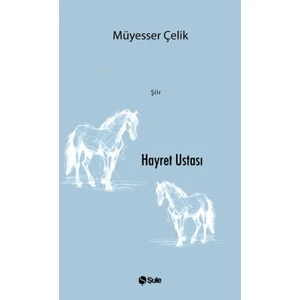 Hayret Ustası - Müyesser Çelik
