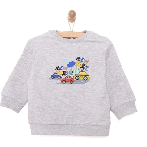 Basic Az Şardonlu Aslan Desenli Sweatshirt Erkek Bebek