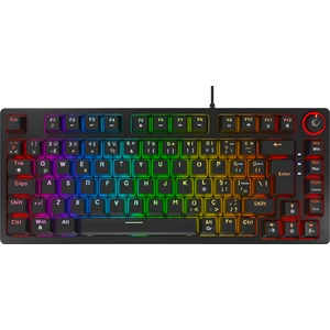 Enıgma 75 Rgb Aydınlatmalı Red Switch Kompakt Dizilim Gaming Mekanik Oyuncu Klavyesi