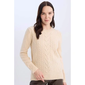 Regular Fit Bisiklet Yaka Saç Örgülü Triko Kazak D4981AX24AU