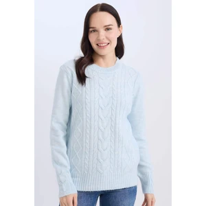 Regular Fit Bisiklet Yaka Saç Örgülü Triko Kazak D4981AX24AU