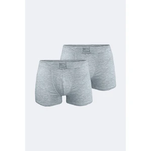 Erkek Gri 2 Li Pamuk Elastan Boxer 074 2M074