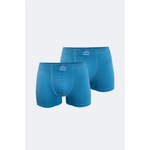 Erkek Mavi 2 Li Pamuk Elastan Boxer 074 2M074