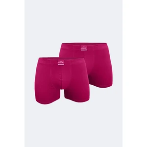 Erkek Bordo 2 Li Pamuk Elastan Boxer 074 2M074
