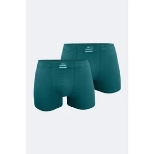 Erkek Yeşil 2 Li Pamuk Elastan Boxer 074 2M074