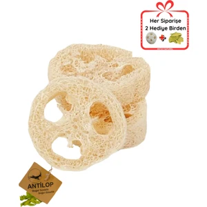 Doğal Kabak Lifi Oval (2 adet) Ikili Paket (Bulaşık, Lavabo, Temizlik)