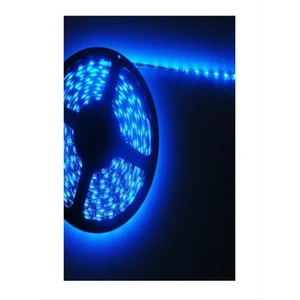 CT-4491 Dış Mekan Silikonlu LED Mavi Renk