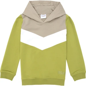 U.S. Polo Assn. Kız Çocuk Fıstık Sweatshirt 50296288-VR087