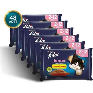 Multi Pack Junior 85 gr 48 Adet