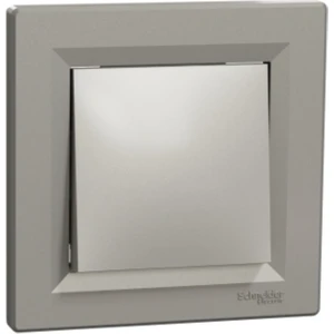 Schneider Electric Asfora Bronz Anahtar
