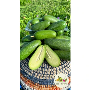 Bebek Avokado 1kg (Parmak Avokado)