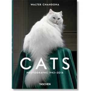 Cats  /  Photographs - Walter Chandoha