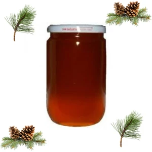 Organik Köyceğiz Çam Balı 850 gr