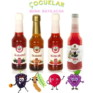 Demirhindi-Karadut-Kızılcık-Üzüm Şıra- 250 ml