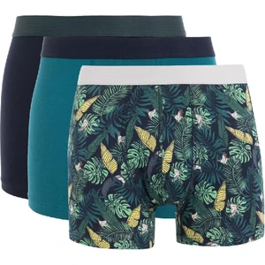Regular Fit Baskılı 3'lü Boxer C9568AX24AU