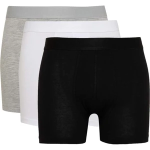 3'lü Boxer C6558AX24SM