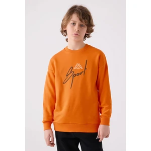 Erkek Çocuk Sweatshirt 351V2PW