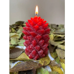 Usta Mum Kozalak Mum