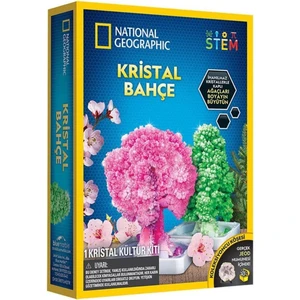 National Geographic Kristal Bitki Kiti