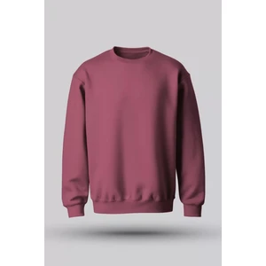 Hvit Stein Gül Kurusu Bisiklet Yaka Oversize Şardonlu Basic Unisex Sweatshirt