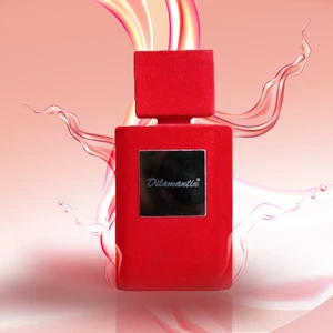 U16 Inspired by Mr. Burberry Unisex Parfüm 90 ml Edp Özel Kırmızı Kadife Şişe