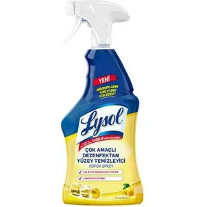 Çok Amaçlı Dezenfektan Yüzey Temizleyici Köpük Sprey 750 ml