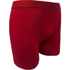 Yılbaşı Erkek Licralı Boxer