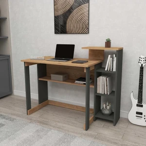 Home Enda Saye 5 Raflı Kitaplıklı Çalışma Masası Atlantik Çam - Antrasit