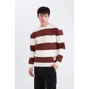 Boxy Fit Bisiklet Yaka Çizgili Dokuma Etiketli Sweatshirt A9066AX24AU