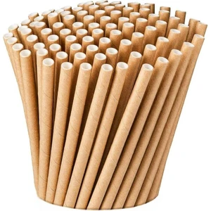 Efe Pastacılık Kraft Kağıt Pipet 19,5 cm 25 Adet