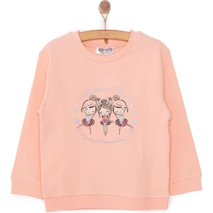 Hellobaby Basic Az Şardonlu Aslan Desenli Sweatshirt Kız Bebek