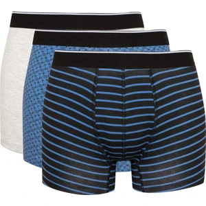 Regular Fit Çizgili 3'lü Boxer C9573AX24CW