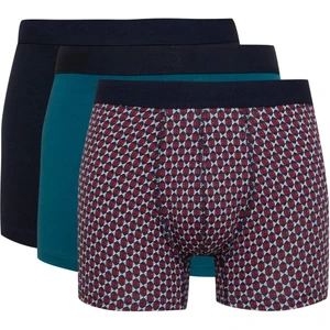 Regular Fit Baskılı 3'lü Boxer C3269AX24CW