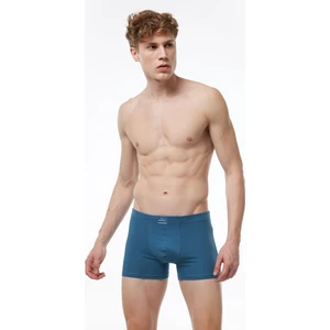 Erkek Mavi Pamuk Elastan Boxer 074 1M074