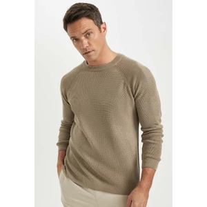 Standart Fit Normal Kesim Bisiklet Yaka Basic Düz Triko Kazak A8458AX24WN