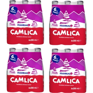 Frambuaz Aromalı Gazoz 200 ml x 24 Adet