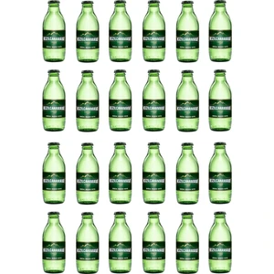 Çamlık Doğal Maden Suyu Sade 200 ml x 24 Adet