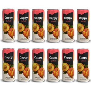 Bahçe Şeftali Nektarı 330 ml x 12 Adet