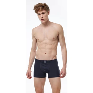 Erkek Füme Pamuk Elastan Boxer 074 1M074