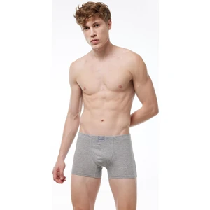 Erkek Gri Pamuk Elastan Boxer 074 1M074