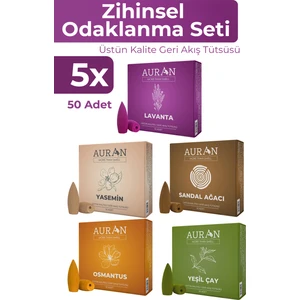 5x Geri Akış Tütsüsü Seti Konik Tütsü Backflow Incense Cones 5X10 Adet
