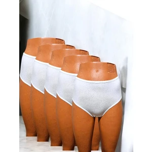 Désir 5 Adet Kadın Yüksek Bel Bato Külot