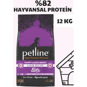 Kuzu Etli Yavru Köpek Maması 12KG- Kids