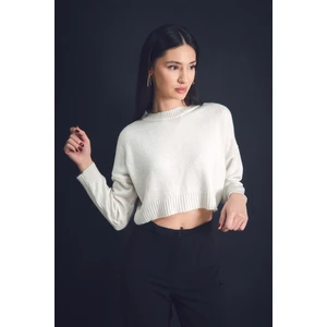 Basic Bisiklet Yaka Crop Triko Kazak
